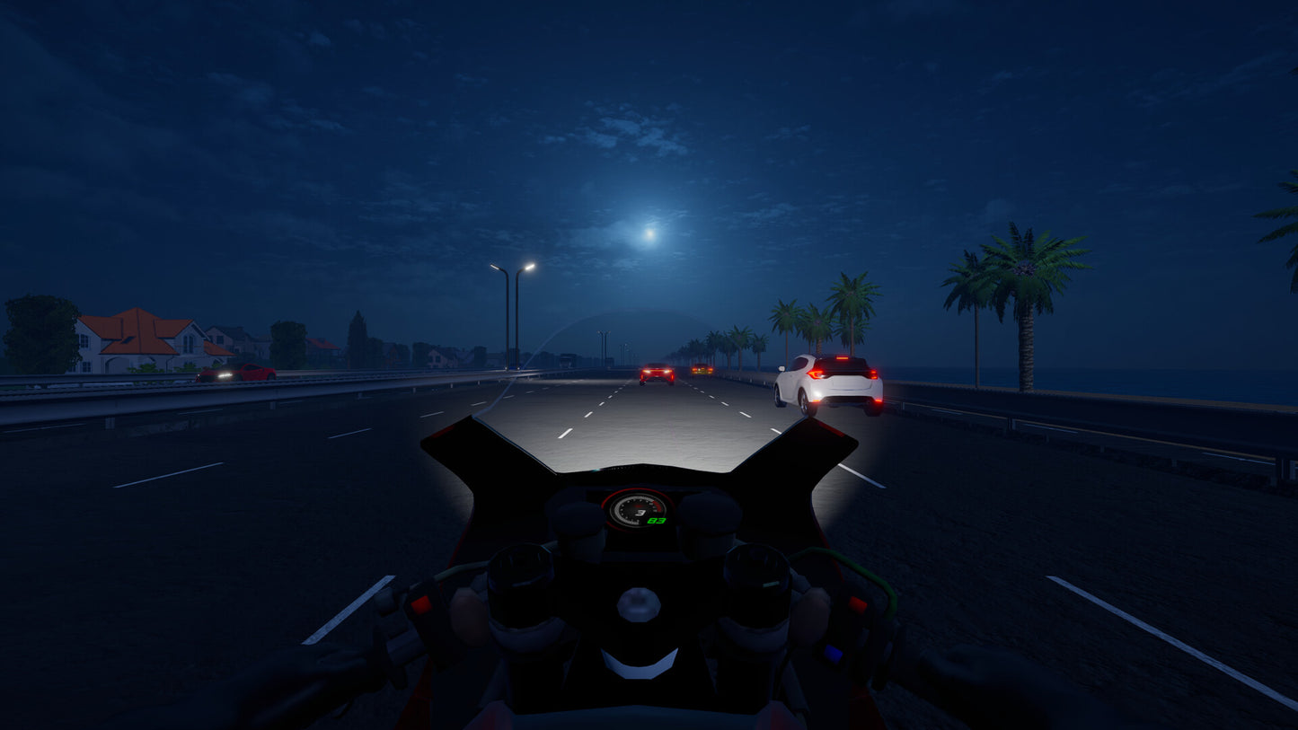 Motorcycle Night Ride PC Steam Key