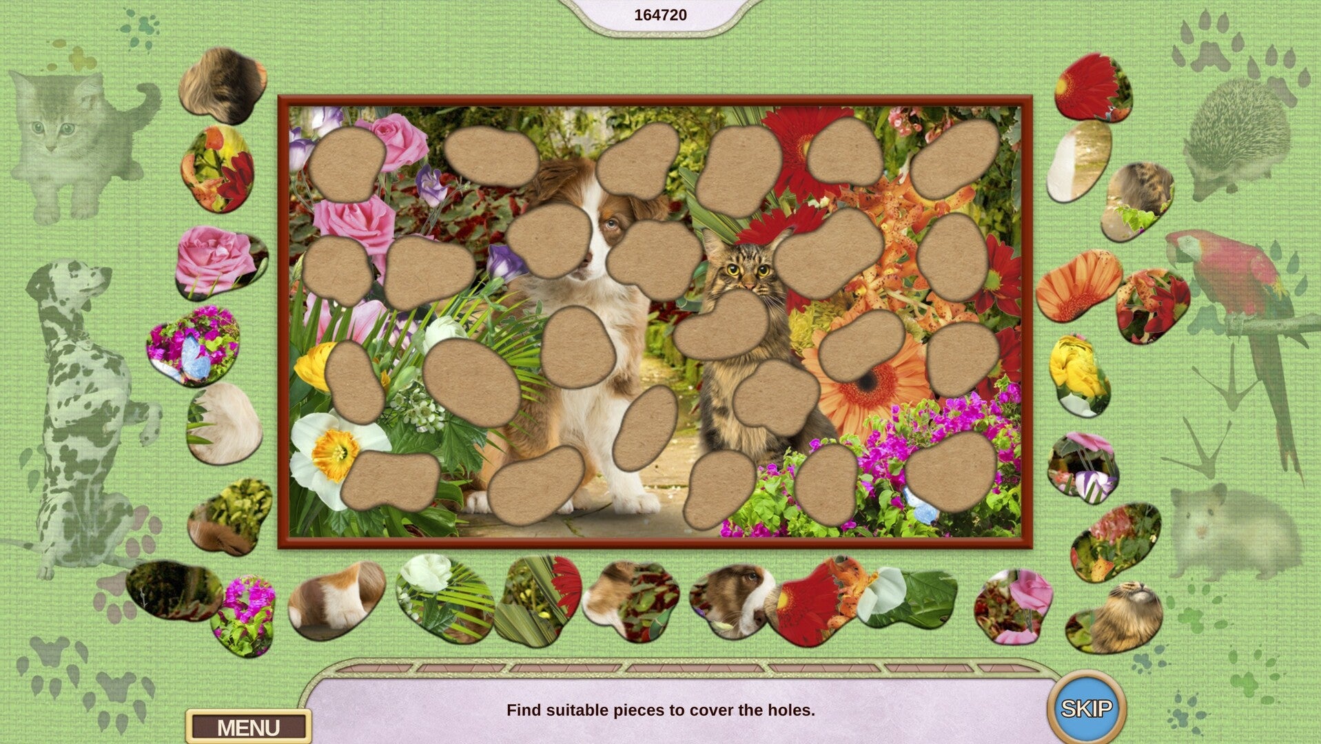 Buy My Lovely Pets Collector's Edition PC Steam Key Default Title Steam key – fast digital delivery | Volt Keys