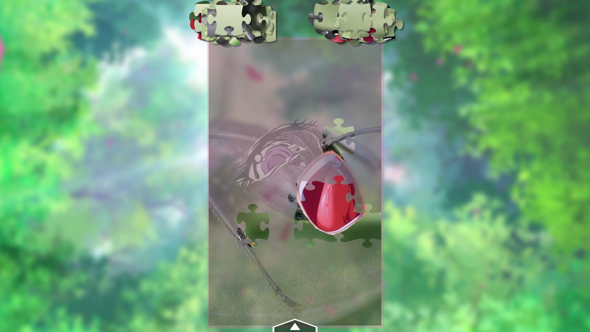 Buy My Sweet Ants! Steam Key Default Title Steam key – fast digital delivery | Volt Keys