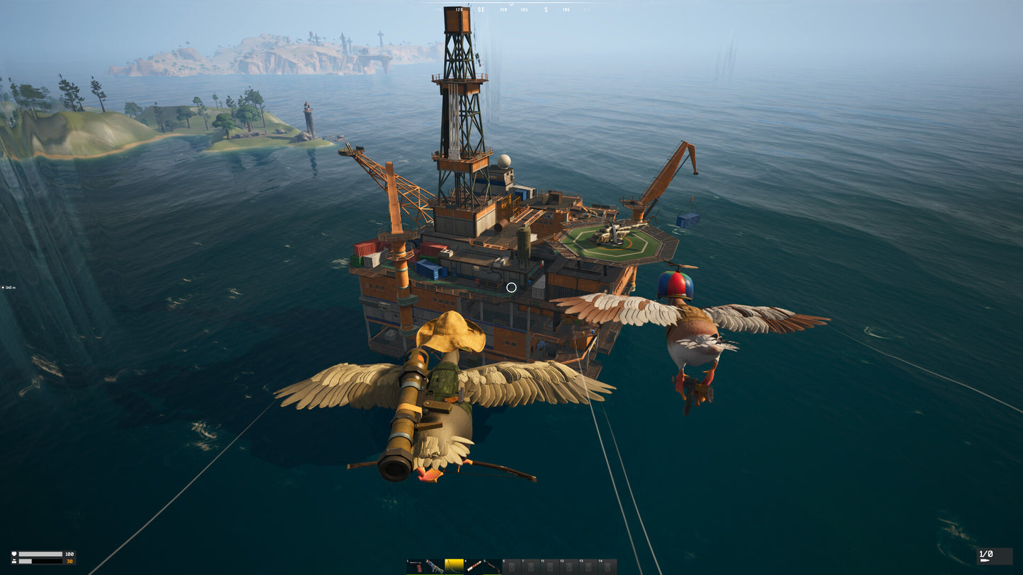 DUCKSIDE PC Steam Key