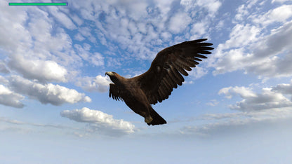 Buy Eagle Hunting Journey Steam Key Default Title Steam key – fast digital delivery | Volt Keys