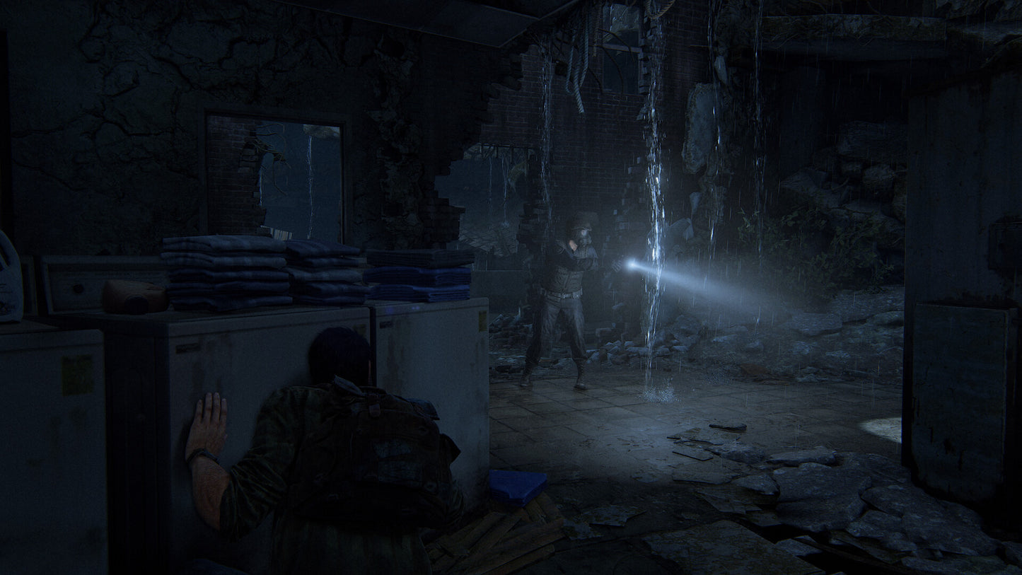 The Last of Us™ Part 1 Steam Key