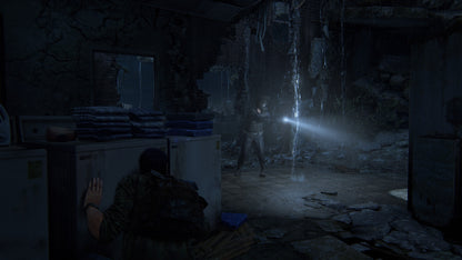 The Last of Us™ Part 1 Steam Key