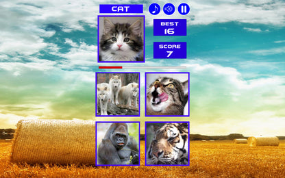 Buy Guess who ? PC Steam Key Default Title Steam key – fast digital delivery | Volt Keys