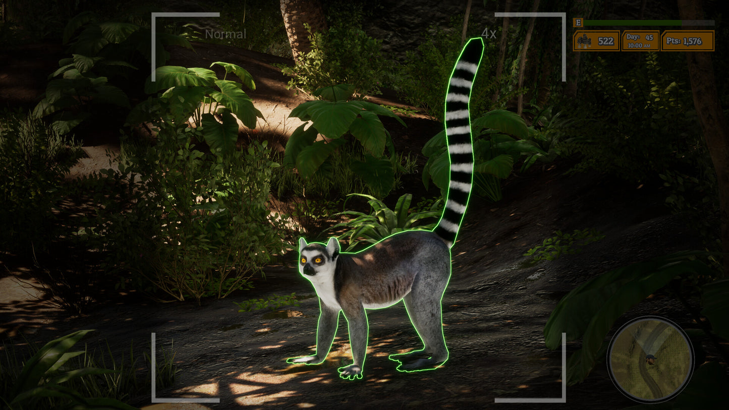 Buy Morels: The Hunt 2 Steam Key Default Title Steam key – fast digital delivery | Volt Keys