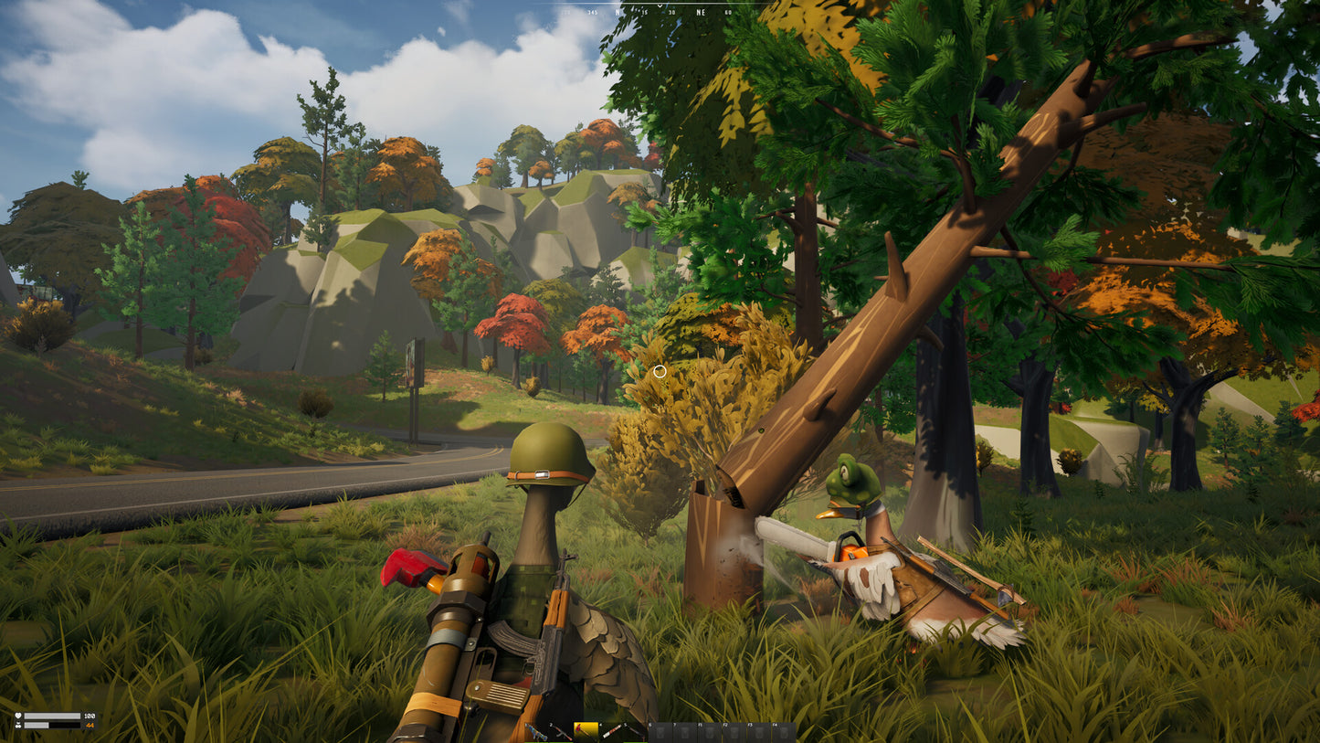 DUCKSIDE PC Steam Key